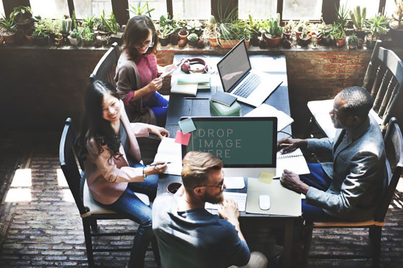 web-development-team